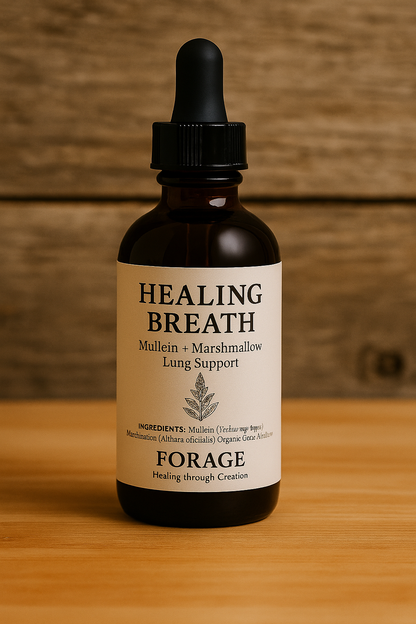 Healing Breath Tincture - Respiratory Relief & Lung Support