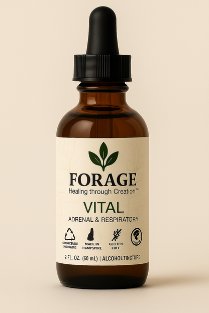VITAL - Adrenal Support